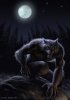 werewolf-copyright.jpg