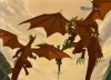 dragons.jpg