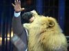 lion-eating-man-xxx.jpg