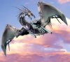 drache.jpg drache.jpg