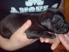 DSC00458.JPG