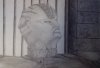 Adern.jpg