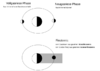 upload_2018-11-16_2-0-7.png upload_2018-11-16_2-0-7.png