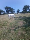 IMG_20230618_130122_364.jpg