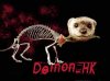 Demon-HK-II.jpg