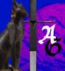 Agroshim-Cat-III.jpg Agroshim-Cat-III.jpg