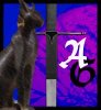 Agroshim-Cat-IIIb.jpg Agroshim-Cat-IIIb.jpg