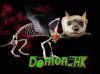 Demon-HK-IIb.jpg Demon-HK-IIb.jpg