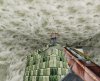dung4.jpg