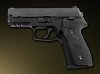 SIG-Sauer P229.jpg