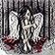 Xelenea