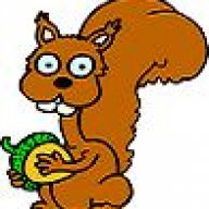 SquirrelFrank
