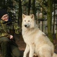 LesterWolf