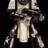 blacktemplar