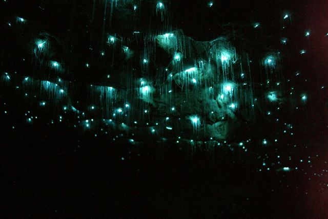 spellbound-light-show.jpg
