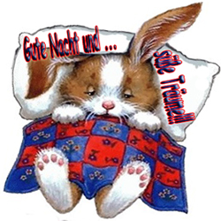 Hasi_GN_sueTraeume_250x250.jpg