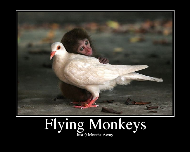 flyingmonkeys1.png