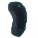 pest-riesenmikroben-150x150.png