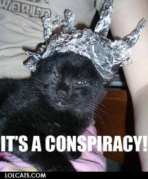 tin-foil-lolcat.jpg