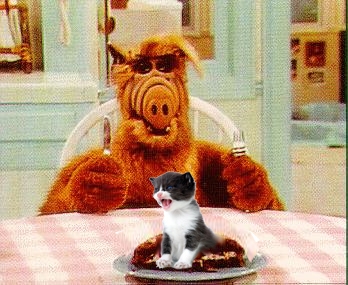 alf2.jpg