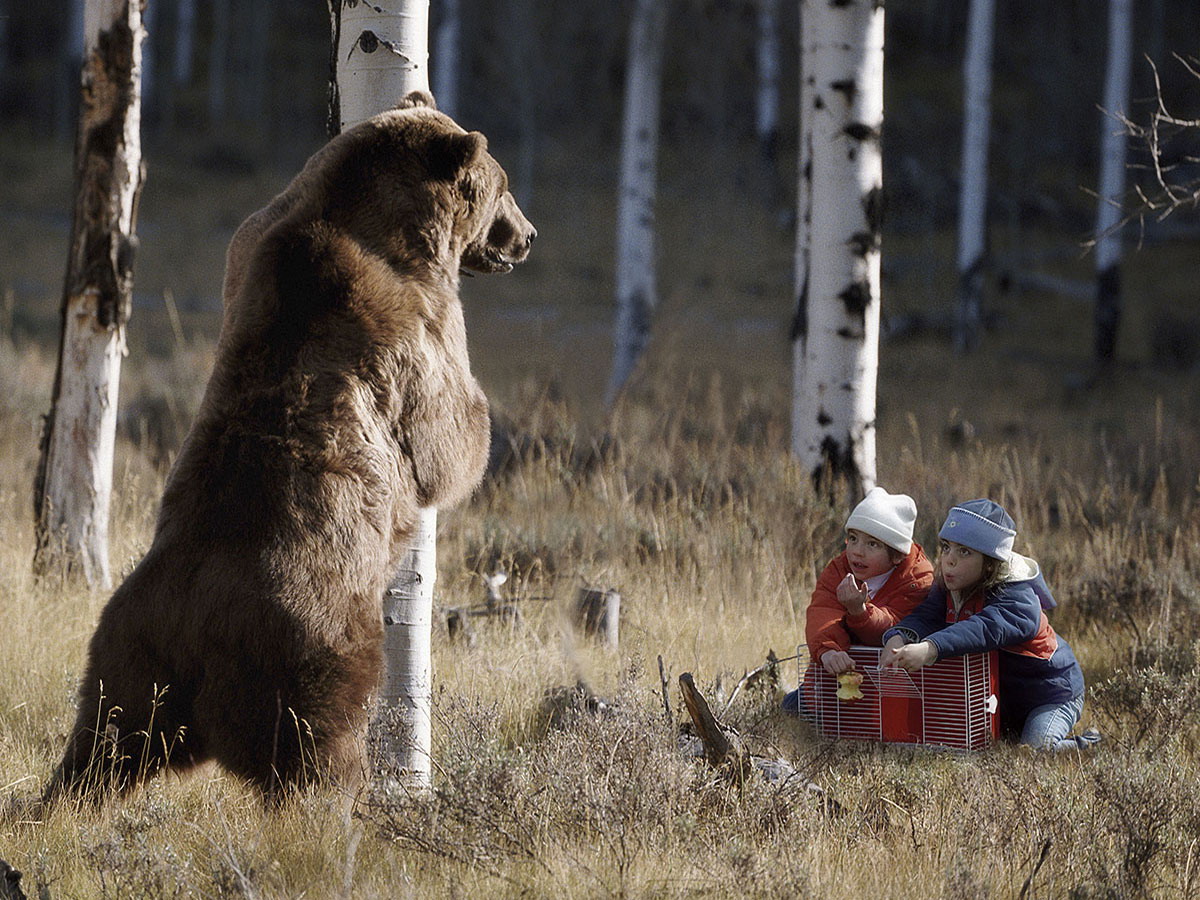 catch-bear.jpg