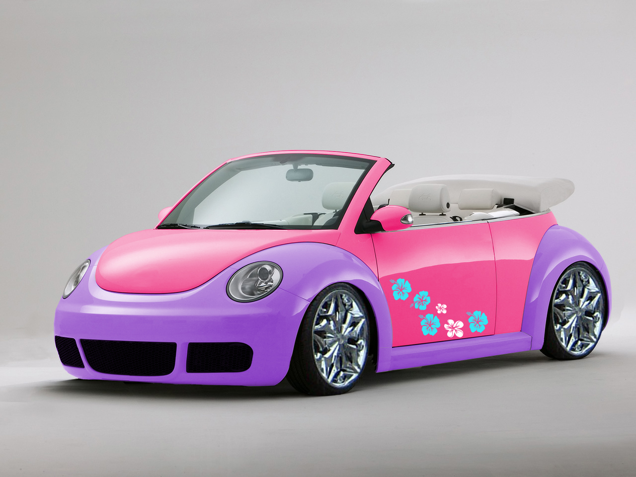 VW_Beetle_pimk_lotus_Kopie.jpg