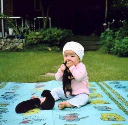 baby_hunde.jpg
