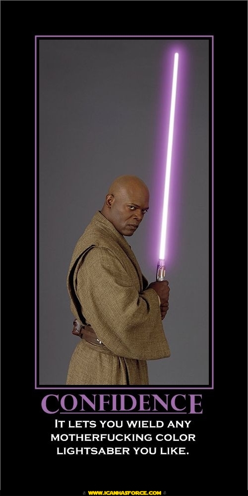 star-wars-mace-windu-confidence.jpg