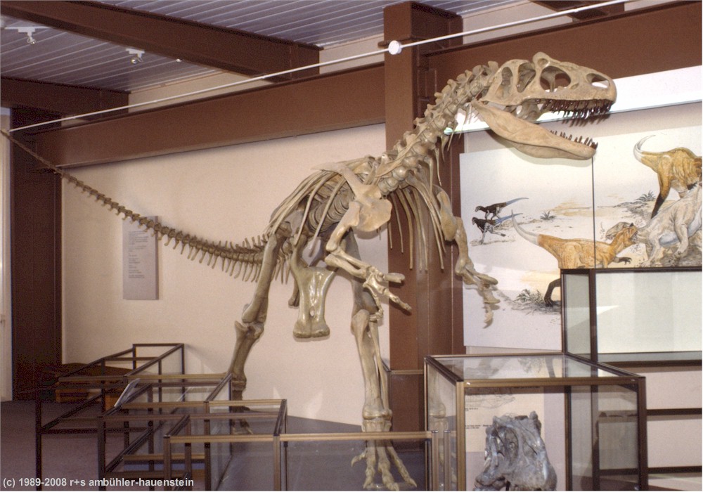 f030d19.jpg