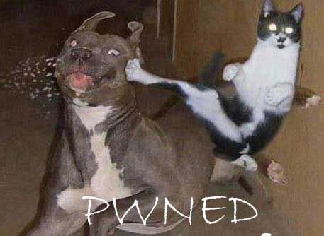 pwned-funny2.jpg