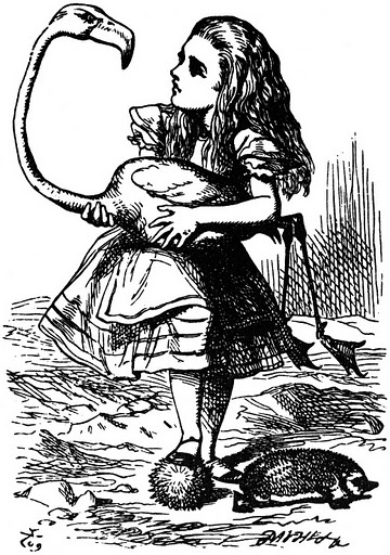 John-Tenniel-Alice-in-Wonderland-30-Alice-trying-to-play-croquet-with-flamingo-and-hedgehog.jpg