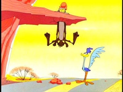 coyote3.jpg