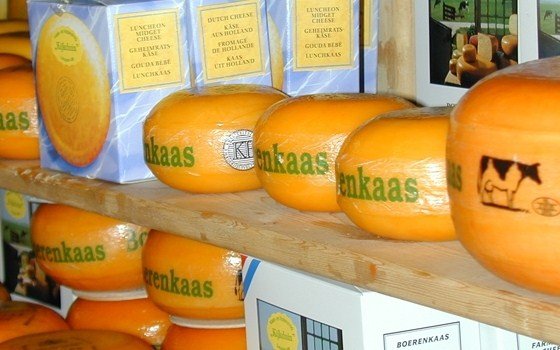 677_fullimage_kaas.jpg_560x350.jpg