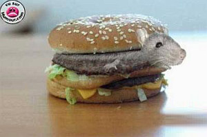 ratburger.jpg