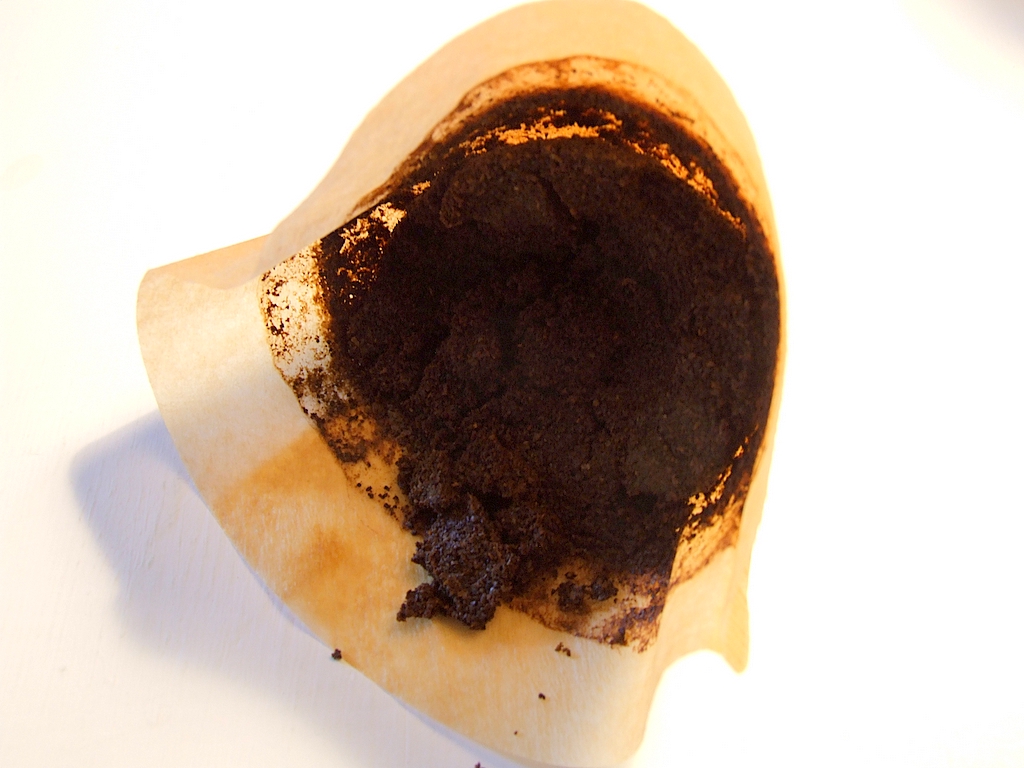 Coffee_Filter_2006_09_09.JPG