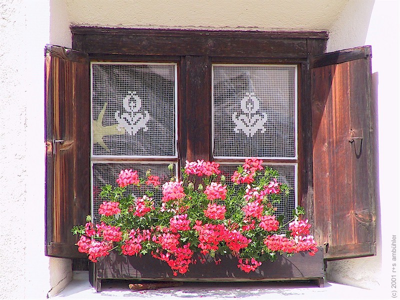 fenster-03.jpg