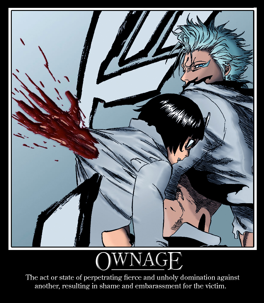 Definition_of_Ownage_by_Hum4n01dTyph00n.jpg
