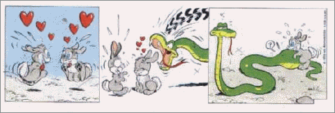 img27_480.gif