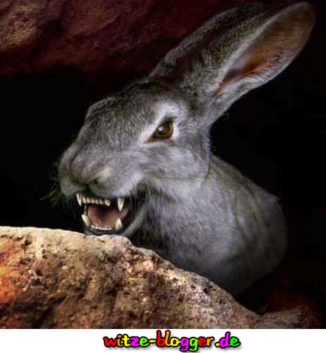 hase-aus-ritter-der-kokosnuss.jpg