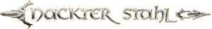 nackterstahl-logo.gif