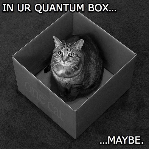 schrodingers-lolcat1.jpg