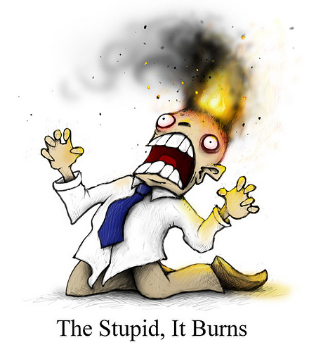 the-stupid-it-burns.jpg