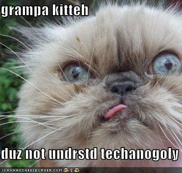 funny-pictures-an-elderly-cat-may-not-understand-technology.jpg