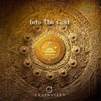 into-the-gold-cover.jpg